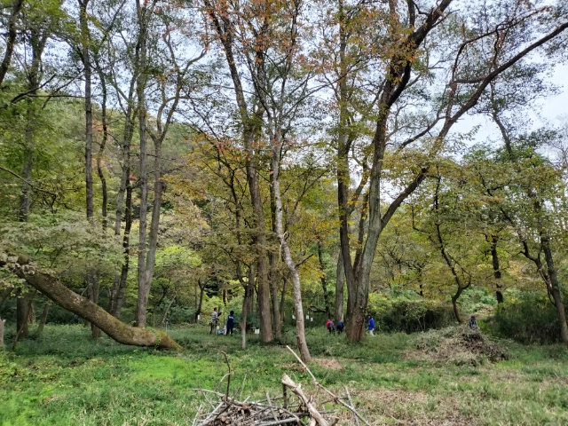 水の森公園体験場所の全景