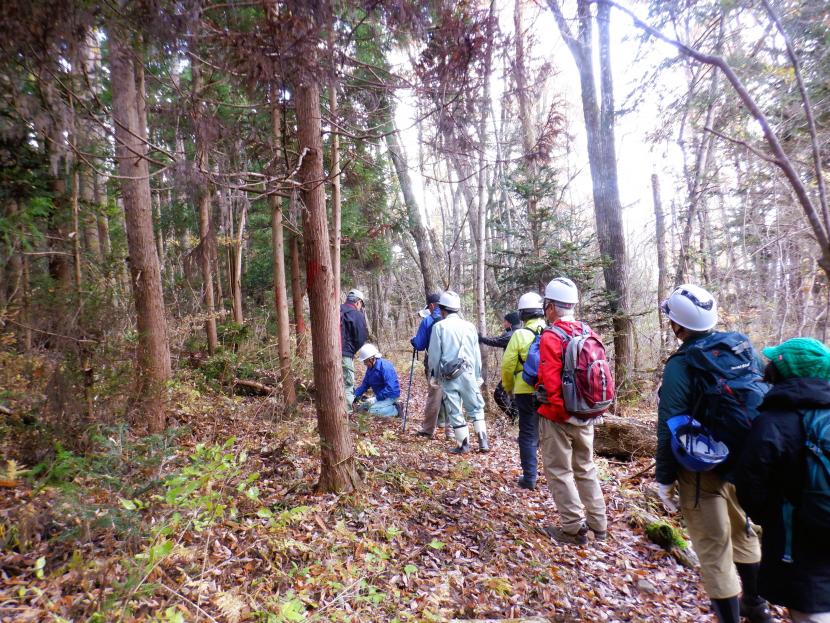 登山道を歩く様子