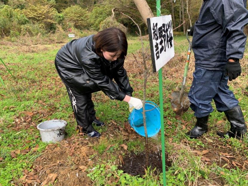木を植える様子（桜）