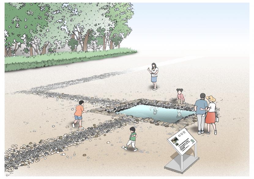 池整備イメージ