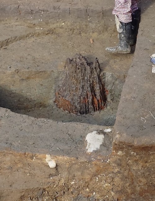 当時の柱材が残っている様子