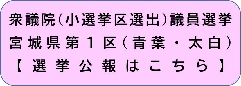 宮城県第一区の選挙公報