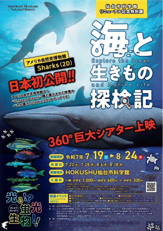 海と生き物探検記