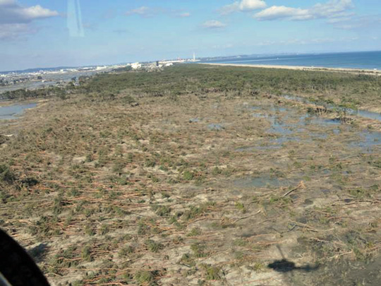 〈海岸部の防潮林は松林のほとんどが津波によって倒木、流出した.右手が太平洋〉