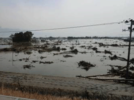 冠水した東部地域