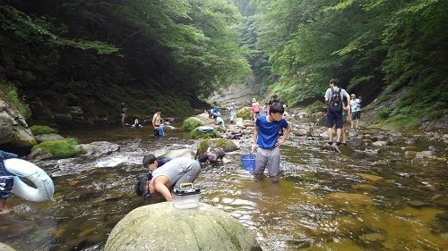 観光振興　秋保　R6