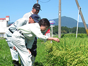 水稲等の生育状況視察_03