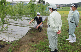 視察の様子