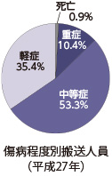 グラフ：傷病程度別搬送人員（平成27年）