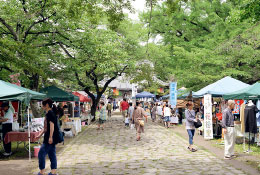 写真：東西線沿線の陸奥国分寺薬師堂の境内では、毎月8日に「お薬師さんの手づくり市」が開催され、多くの人でにぎわいます