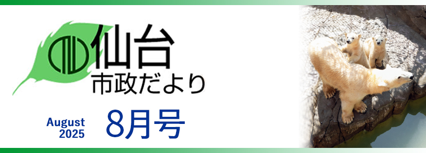 Where was the sendai tsunami