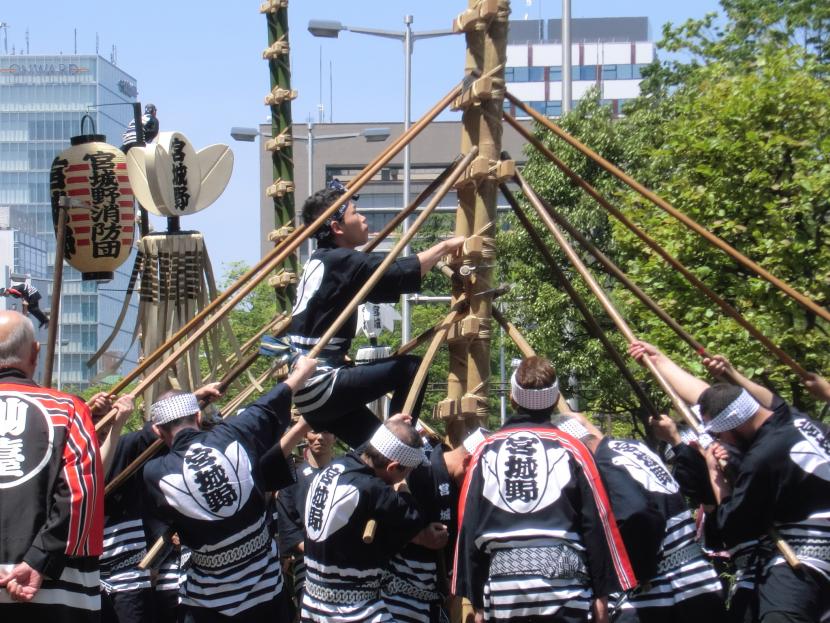 青葉まつりで演技する宮城野はしご乗隊