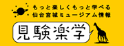 仙台宮城ミュージアムアライアンス