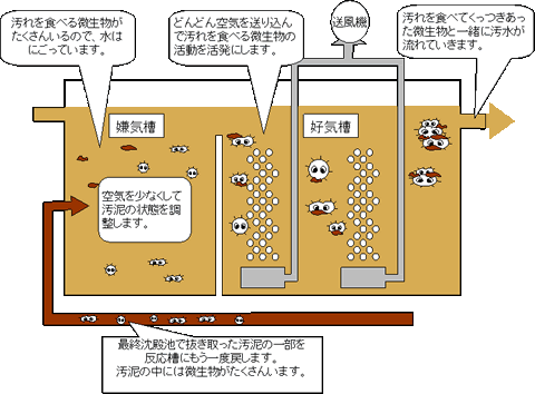 反応槽の図