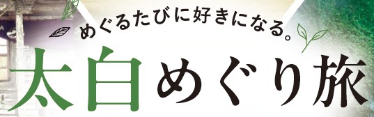 logo1