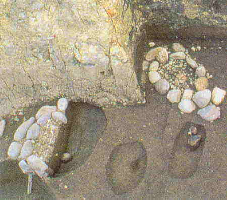 下ノ内浦遺跡の集落跡の写真