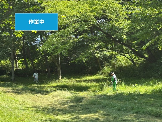 作業中