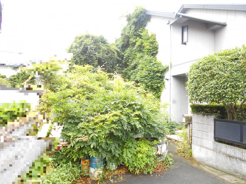新画像1