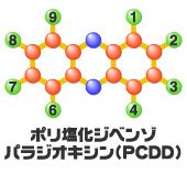 ダイオキシン類の構造　ポリ塩化ジベンゾパラジオキシン(PCDD)
