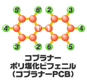 ダイオキシン類の構造　コプラナーポリ塩化ビフェニル(コプラナーPCB)