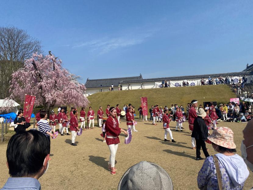 霞城観桜会