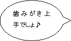 歯みがき上手でしょ