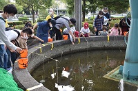 ザリガニ釣りの様子