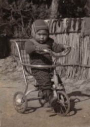 三輪車に乗る子どもの写真