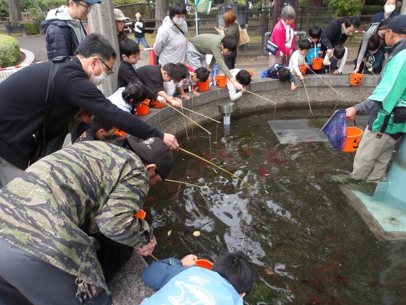 ザリガニ釣り写真