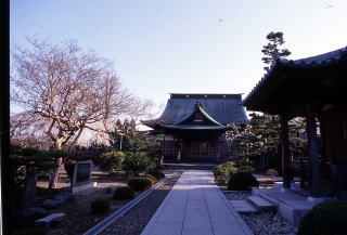 阿弥陀寺の写真