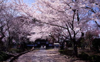 松音寺の写真