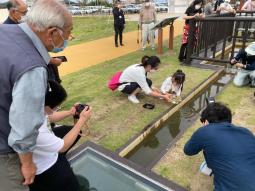 井土メダカを放流する里親の様子