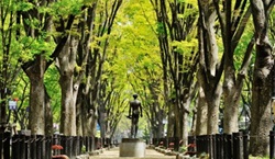 安全で心地良い杜の都づくり