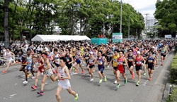 仙台のスポーツを応援