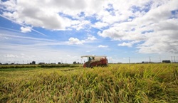 仙台の農業を応援