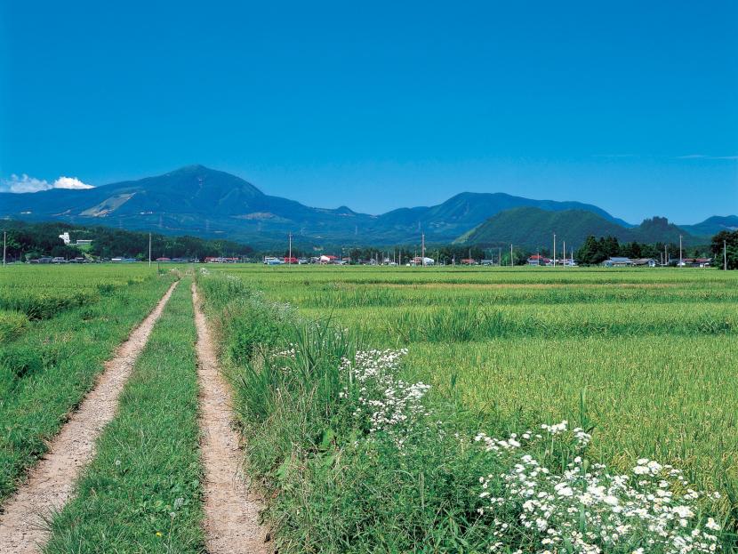 泉ヶ岳と田園風景写真