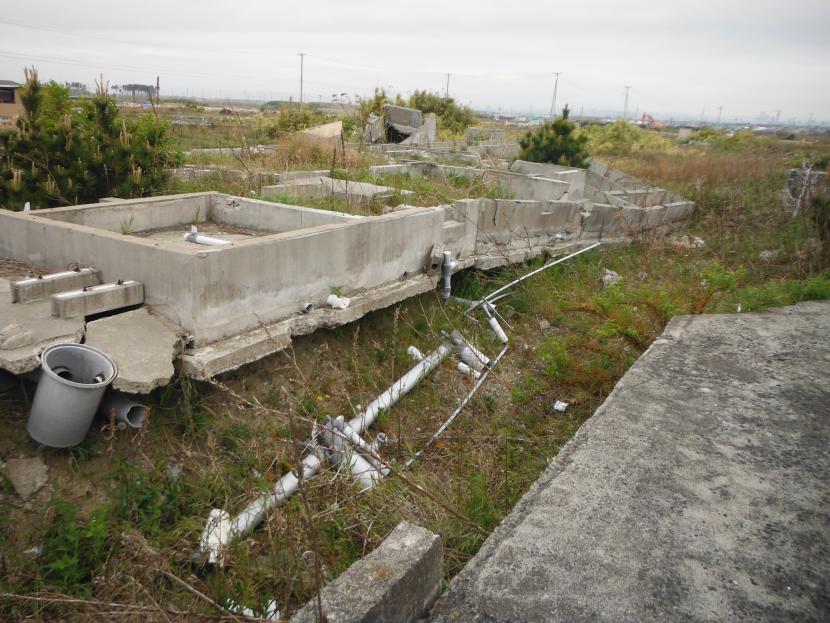 荒浜地区住宅基礎（東日本大震災後）の写真