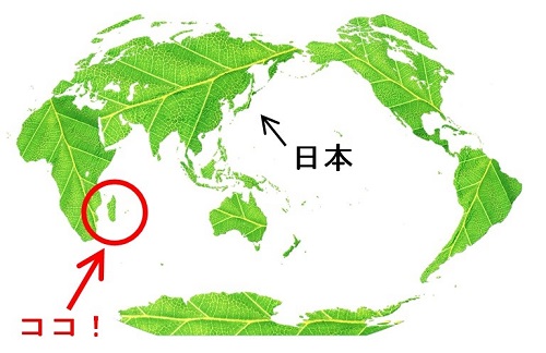 当園のマダガスカル関連事業について2