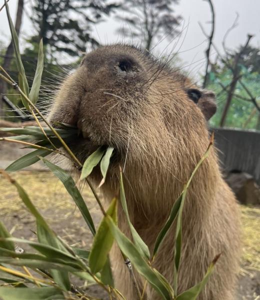 2月うらがわ探検