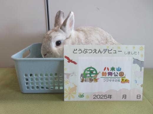 動物園デビューカード