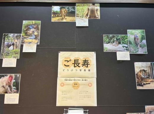敬老の日パネル展
