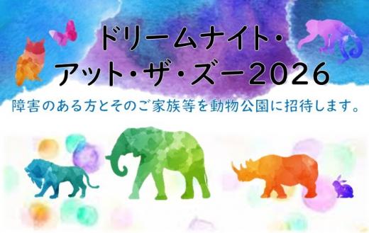 ドリームナイトアットザズー2026