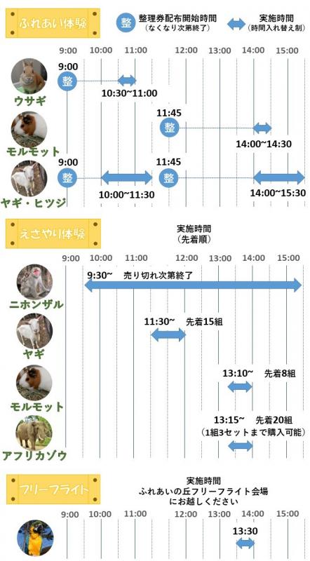 体験タイムスケジュール