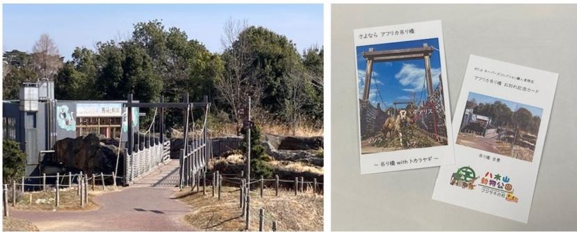 アフリカ吊り橋とお別れ記念カード