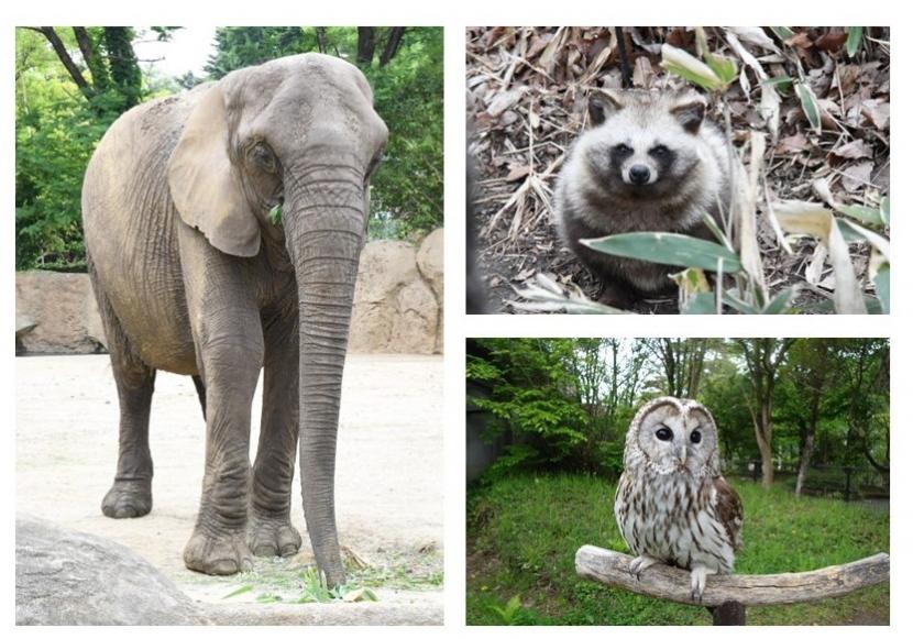 10月飼育員による動物のおはなし