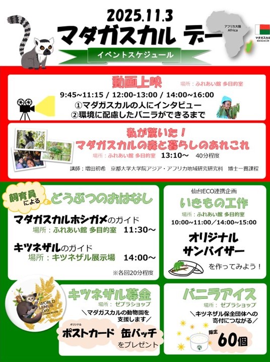マダガスカルデータイムスケジュール