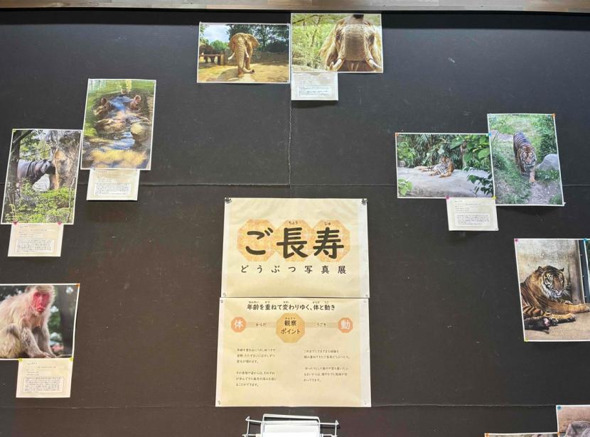 敬老の日パネル展