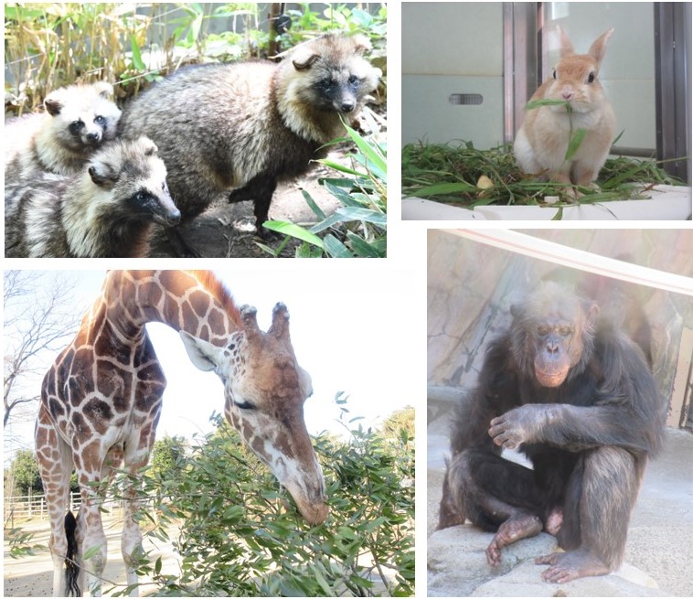 11月の飼育員による動物のおはなし