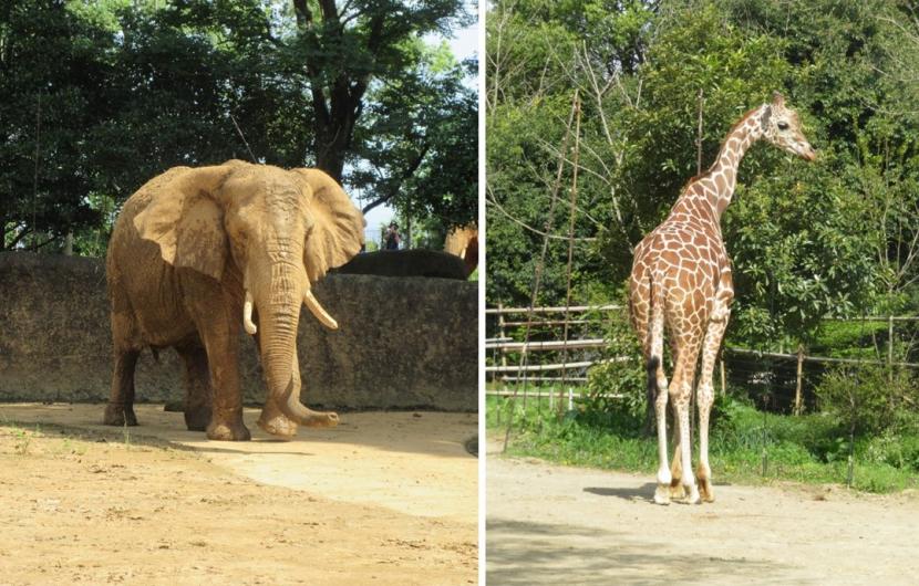 3月のうらがわ探検