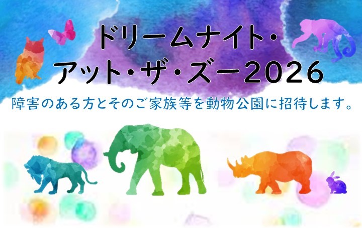 ドリームナイトアットザズーポスター